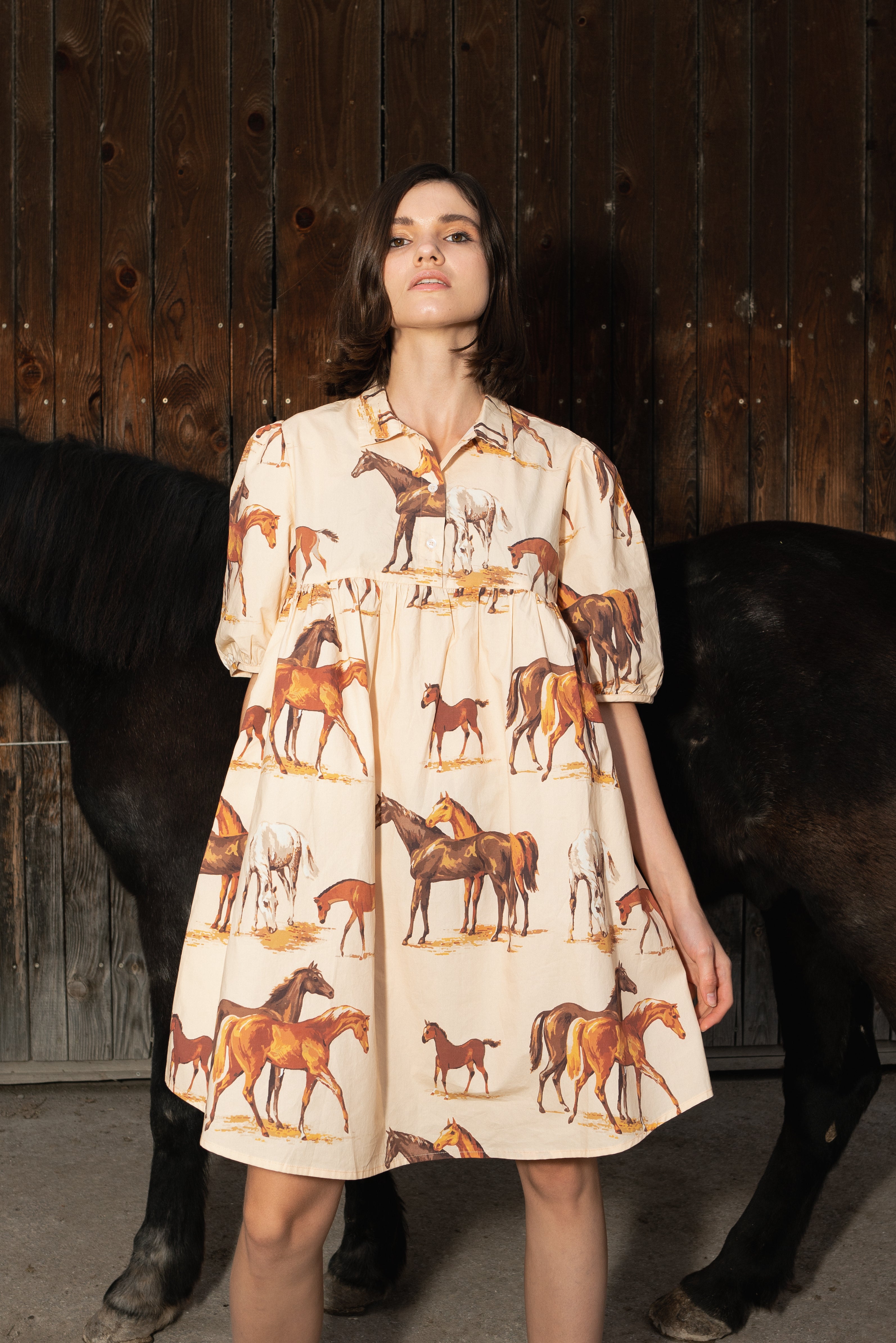 Horse Gwen Dress G25 Sz S - XXL (Restocked!!!) Farewell Frances Horse Gwen Dress G25 Sz S - XXL (Restocked!!!) Farewell Frances